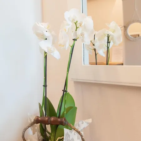 Holiday home Il Piccolo Borgo - Quadrilocale